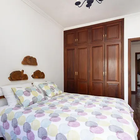 Geranios Vakantiehuis Tegueste