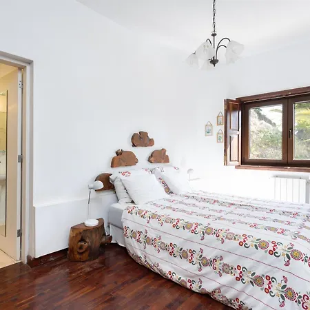 Semesterbostad Geranios Tegueste